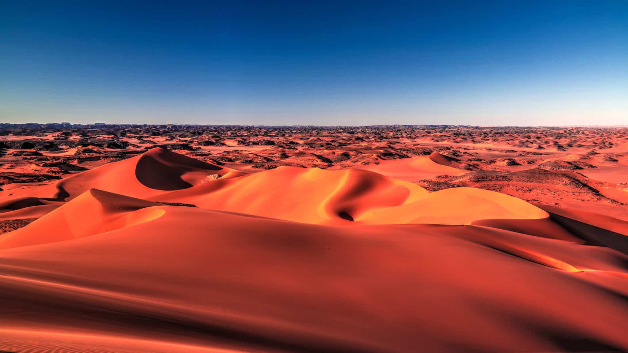 Wielobarwna pustynia Tin Merzogua w Algierii