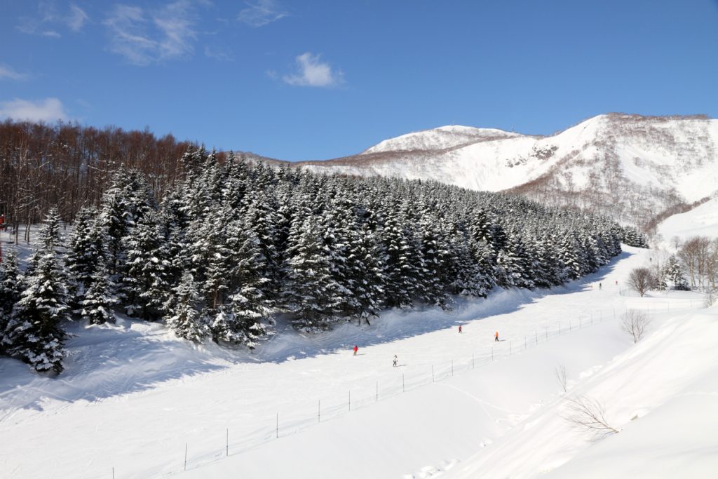 Narty w Japonii: zimowa przygoda w Niseko